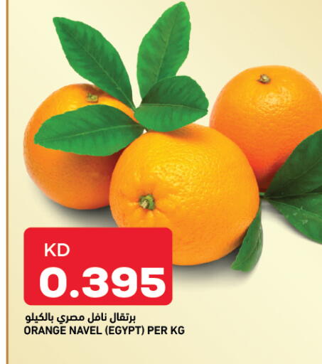 Orange from Egypt available at أونكوست in الكويت - محافظة الجهراء