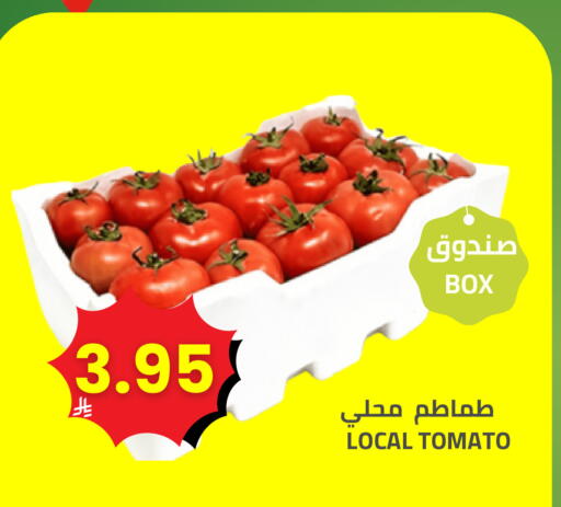 Tomato available at Astra Markets in KSA, Saudi Arabia, Saudi - Tabuk