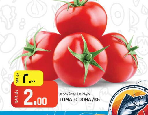 Tomato from Qatar available at كنز ميني مارت in قطر - الخور