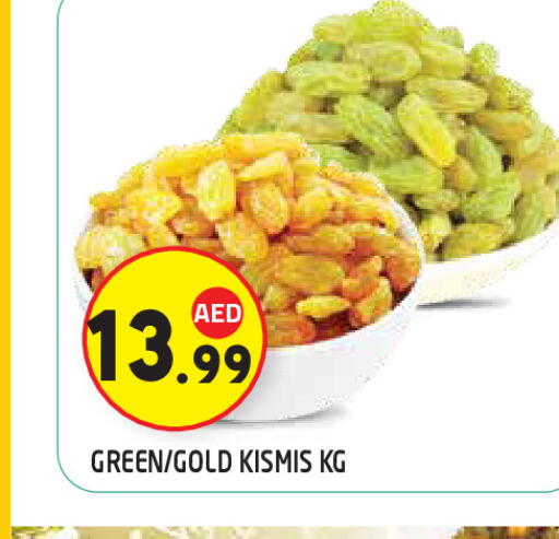 available at سنابل بني ياس in الإمارات العربية المتحدة , الامارات - ٱلْعَيْن‎