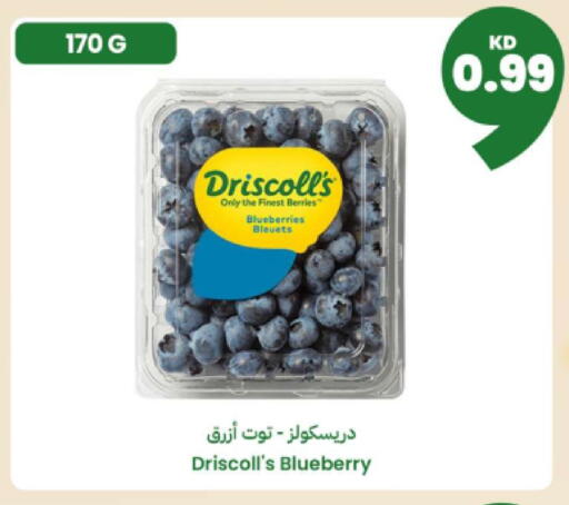 Blueberry BlueBerry available at توصيل  in الكويت - مدينة الكويت