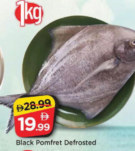 available at مارك & سيف in الإمارات العربية المتحدة , الامارات - الشارقة / عجمان