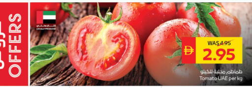 Tomato available at سبار هايبرماركت in الإمارات العربية المتحدة , الامارات - الشارقة / عجمان