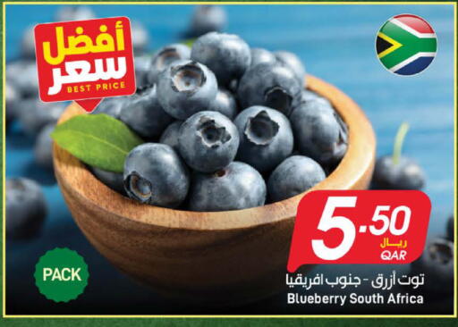 Blueberry BlueBerry from South Africa available at ســبــار in قطر - الدوحة