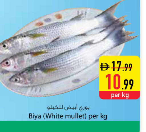available at Safeer Market in UAE - Dubai