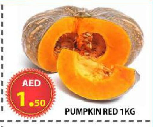 Pumpkin available at مركز الوحدة للتخفيضات in الإمارات العربية المتحدة , الامارات - الشارقة / عجمان