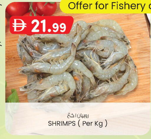available at Safa Express Supermarket in UAE - Abu Dhabi