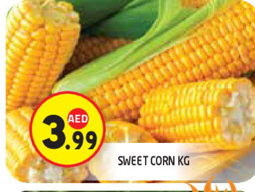 available at Baniyas Spike  in UAE - Umm al Quwain