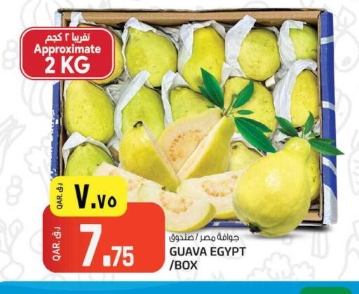 Guava from Egypt available at السعودية in قطر - الوكرة