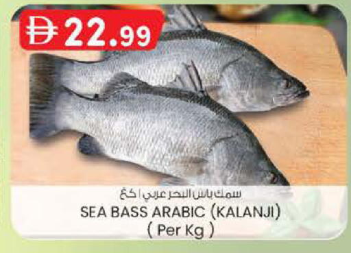 available at صفا هايبر in الإمارات العربية المتحدة , الامارات - أبو ظبي