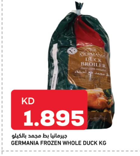 available at أونكوست in الكويت - محافظة الأحمدي
