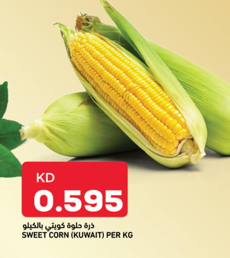 from Kuwait available at Oncost in Kuwait - Kuwait City