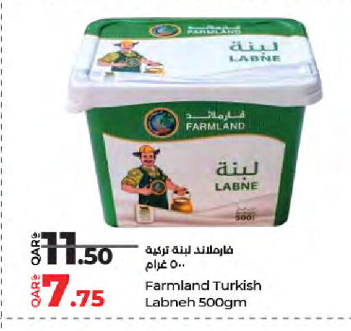 available at لولو هايبرماركت in قطر - الشحانية
