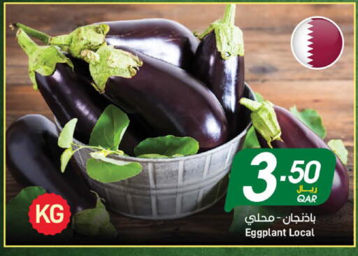 Eggplant available at ســبــار in قطر - الدوحة