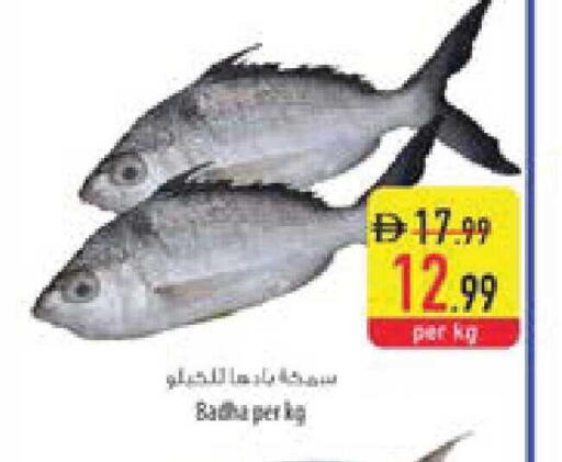 available at Safeer Market in UAE - Umm al Quwain