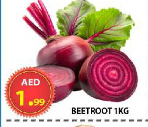 Beetroot available at مركز الوحدة للتخفيضات in الإمارات العربية المتحدة , الامارات - الشارقة / عجمان