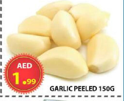 Garlic available at AL WAHDA DISCOUNTS CENTRE in UAE - Sharjah / Ajman