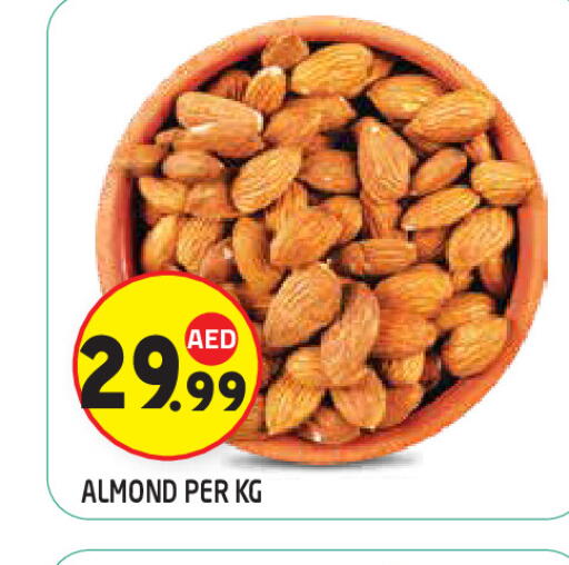 available at سنابل بني ياس in الإمارات العربية المتحدة , الامارات - أبو ظبي