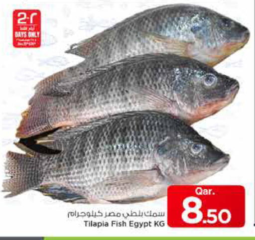 available at مارك & سيف in قطر - الدوحة