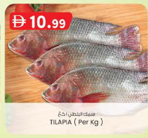 available at ك. الم. للتجارة in الإمارات العربية المتحدة , الامارات - أبو ظبي