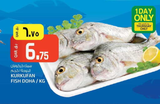 available at السعودية in قطر - الخور