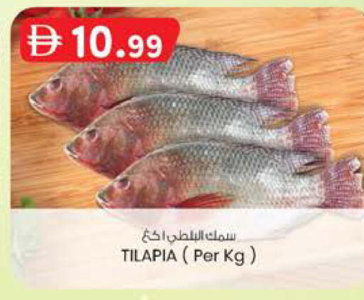 available at صفا اكسبريس سوبرماركت in الإمارات العربية المتحدة , الامارات - ٱلْعَيْن‎