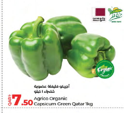 Capsicum from Qatar available at LuLu Hypermarket in Qatar - Al Wakra