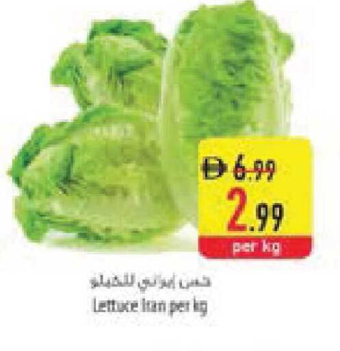 Lettuce from Iran available at السفير ماركت in الإمارات العربية المتحدة , الامارات - ٱلْعَيْن‎