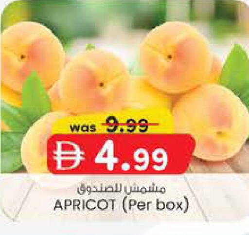 Apricot available at K M Trading  in UAE - Abu Dhabi