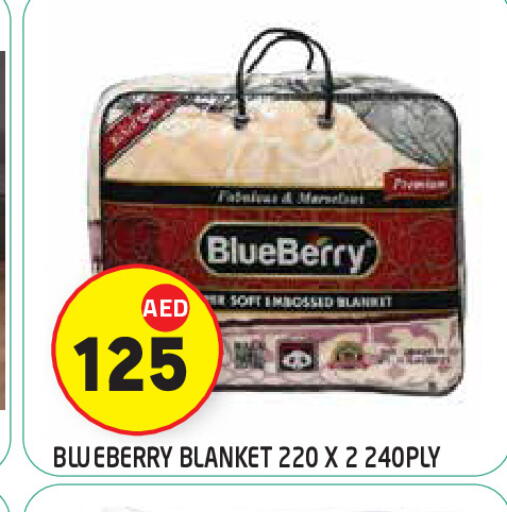 Blueberry BlueBerry available at سنابل بني ياس in الإمارات العربية المتحدة , الامارات - ٱلْعَيْن‎