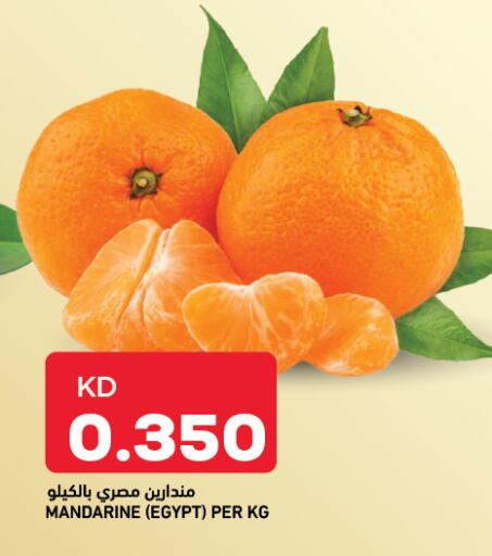 from Egypt available at Gulfmart in Kuwait - Ahmadi Governorate