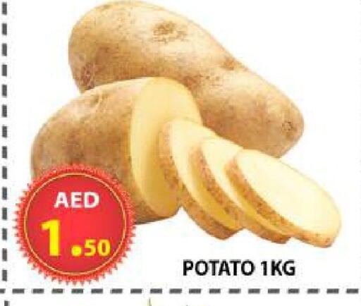 Potato available at مركز الوحدة للتخفيضات in الإمارات العربية المتحدة , الامارات - الشارقة / عجمان