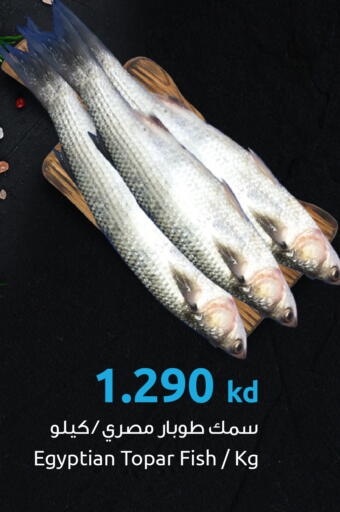 available at مركز سلطان in الكويت - محافظة الأحمدي