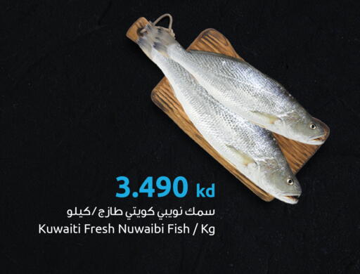 available at مركز سلطان in الكويت - محافظة الأحمدي