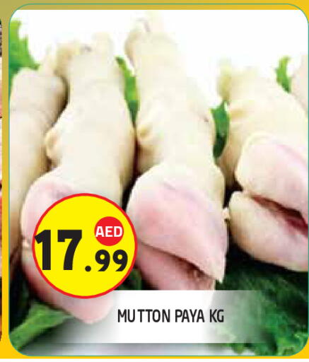 available at سنابل بني ياس in الإمارات العربية المتحدة , الامارات - ٱلْعَيْن‎