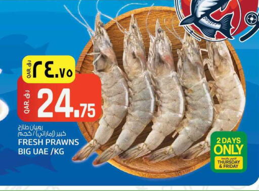 available at السعودية in قطر - الريان