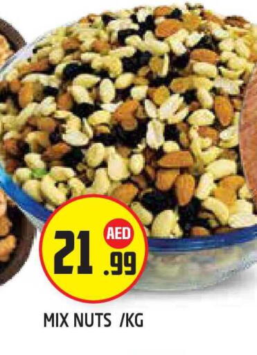 available at سنابل بني ياس in الإمارات العربية المتحدة , الامارات - أبو ظبي