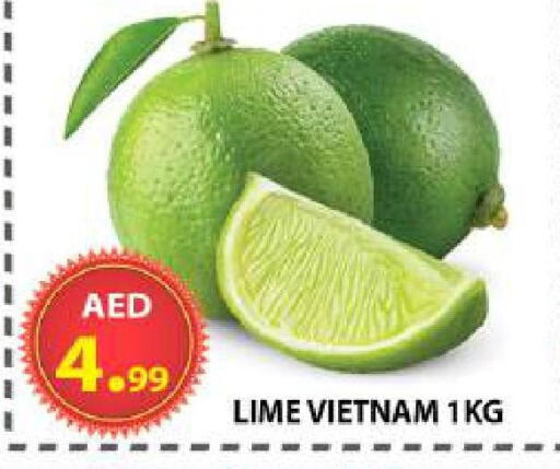 from Vietnam available at مركز الوحدة للتخفيضات in الإمارات العربية المتحدة , الامارات - الشارقة / عجمان
