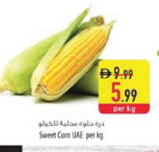 available at السفير ماركت in الإمارات العربية المتحدة , الامارات - ٱلْعَيْن‎