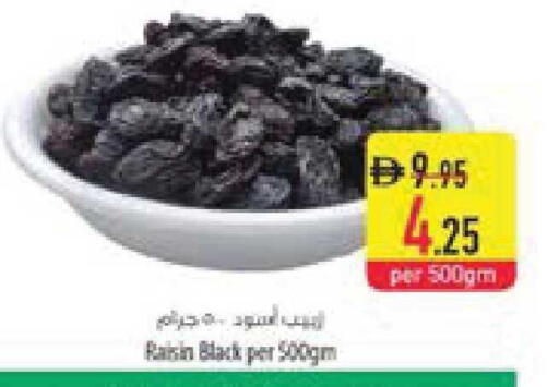 available at السفير ماركت in الإمارات العربية المتحدة , الامارات - ٱلْعَيْن‎