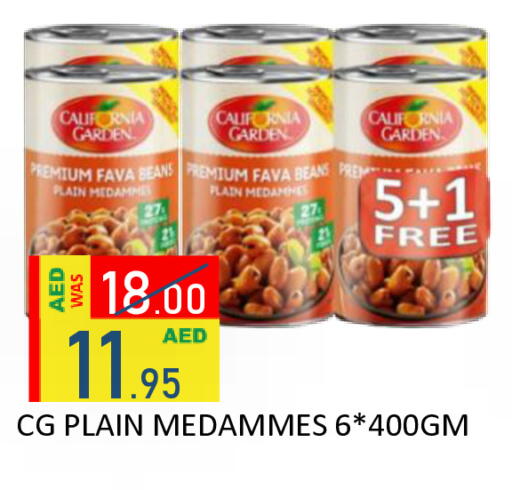 available at رويال جلف هايبرماركت in الإمارات العربية المتحدة , الامارات - أبو ظبي