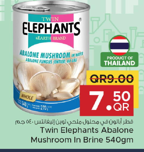 Mushroom available at مركز التموين العائلي in قطر - الريان