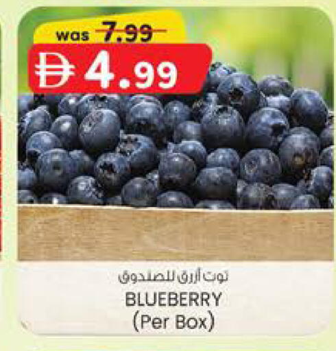 Blueberry BlueBerry available at K M Trading  in UAE - Sharjah / Ajman