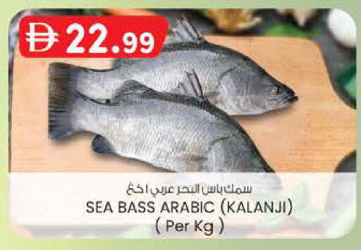 available at K M Trading  in UAE - Fujairah