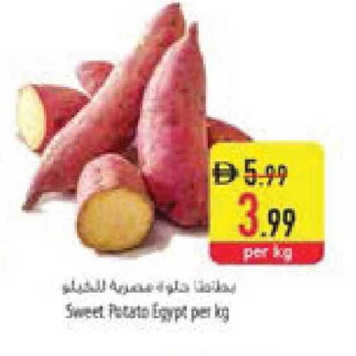 Sweet Potato from Egypt available at السفير ماركت in الإمارات العربية المتحدة , الامارات - ٱلْعَيْن‎
