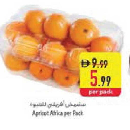 Apricot available at Safeer Market in UAE - Umm al Quwain