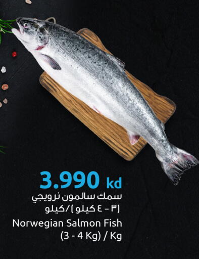 available at مركز سلطان in الكويت - محافظة الأحمدي