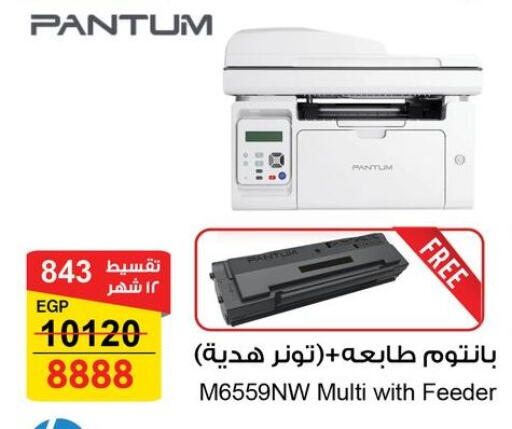 available at Fathalla Market  in Egypt - Cairo