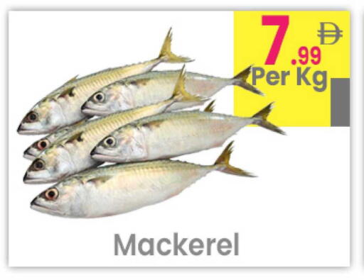 available at Everyday Center in UAE - Ras al Khaimah