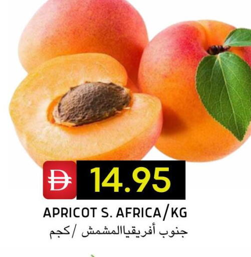 Apricot available at سيليكت ماركت in الإمارات العربية المتحدة , الامارات - أبو ظبي